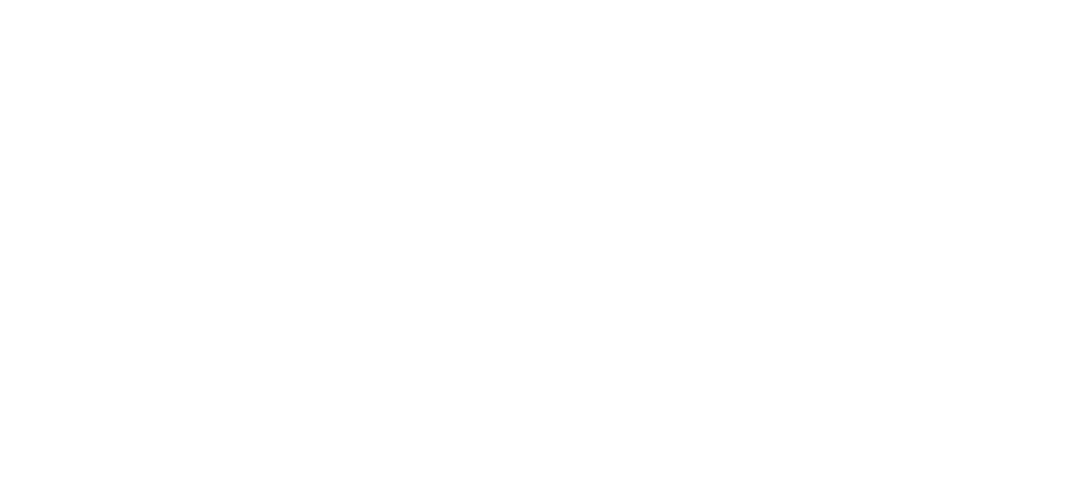 Anas Ansari 